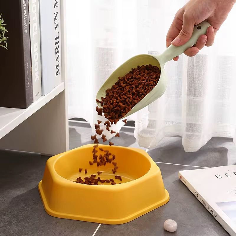 WhatsApp Image 2026-02-24 at 11.34.11 AM (4)