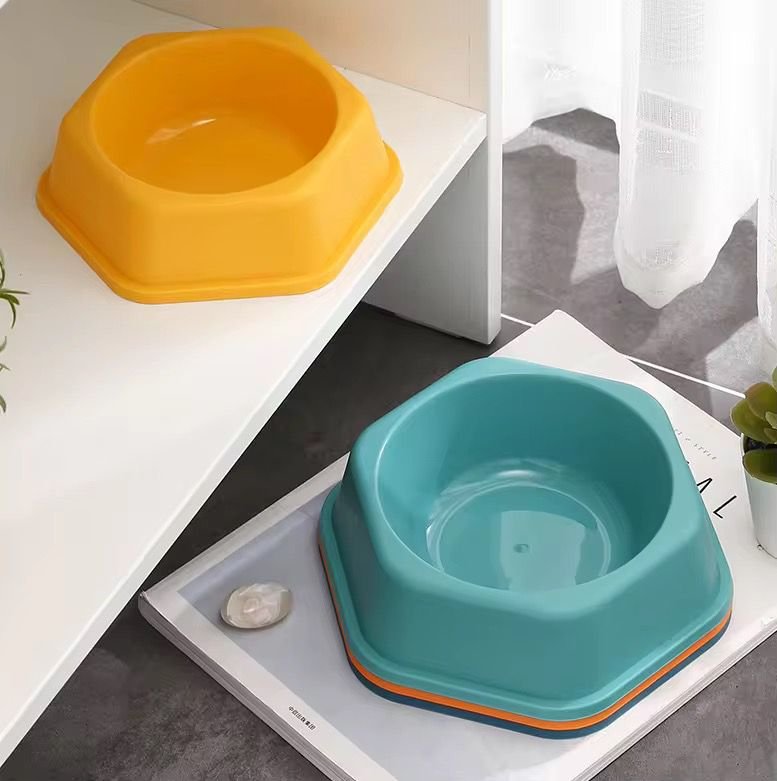 WhatsApp Image 2026-02-24 at 11.34.12 AM