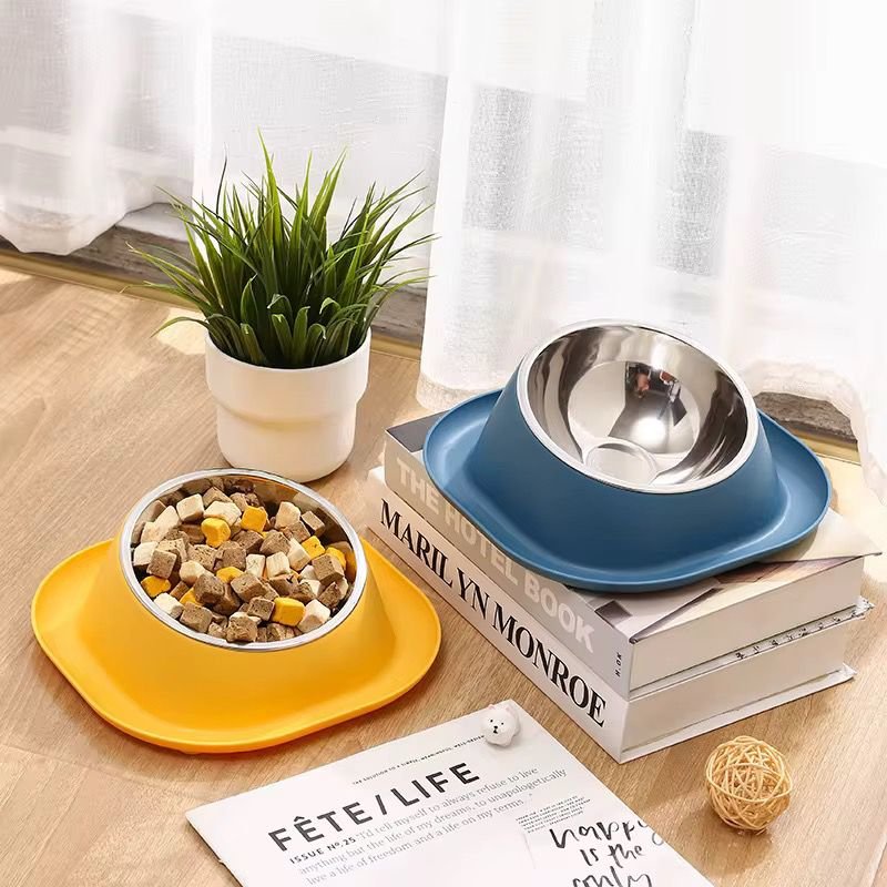 WhatsApp Image 2026-02-24 at 12.09.44 PM (1)