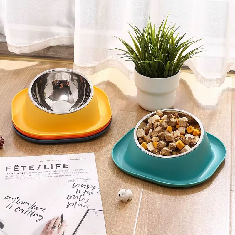 WhatsApp Image 2026-02-24 at 12.09.44 PM (2)