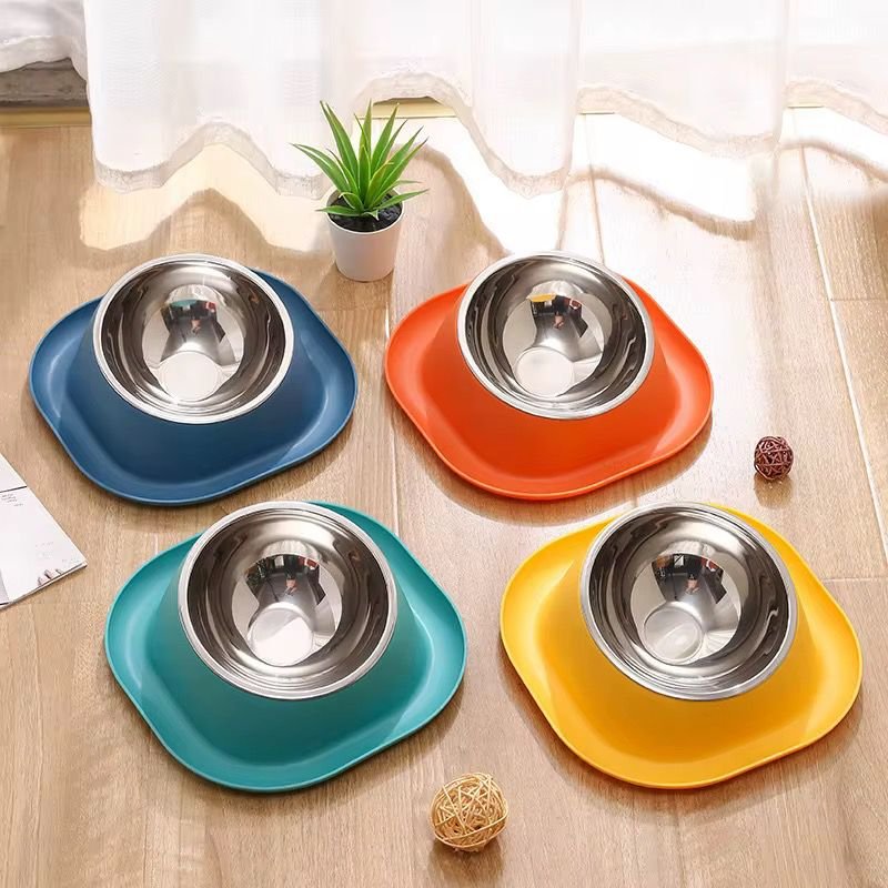 WhatsApp Image 2026-02-24 at 12.09.44 PM (3)