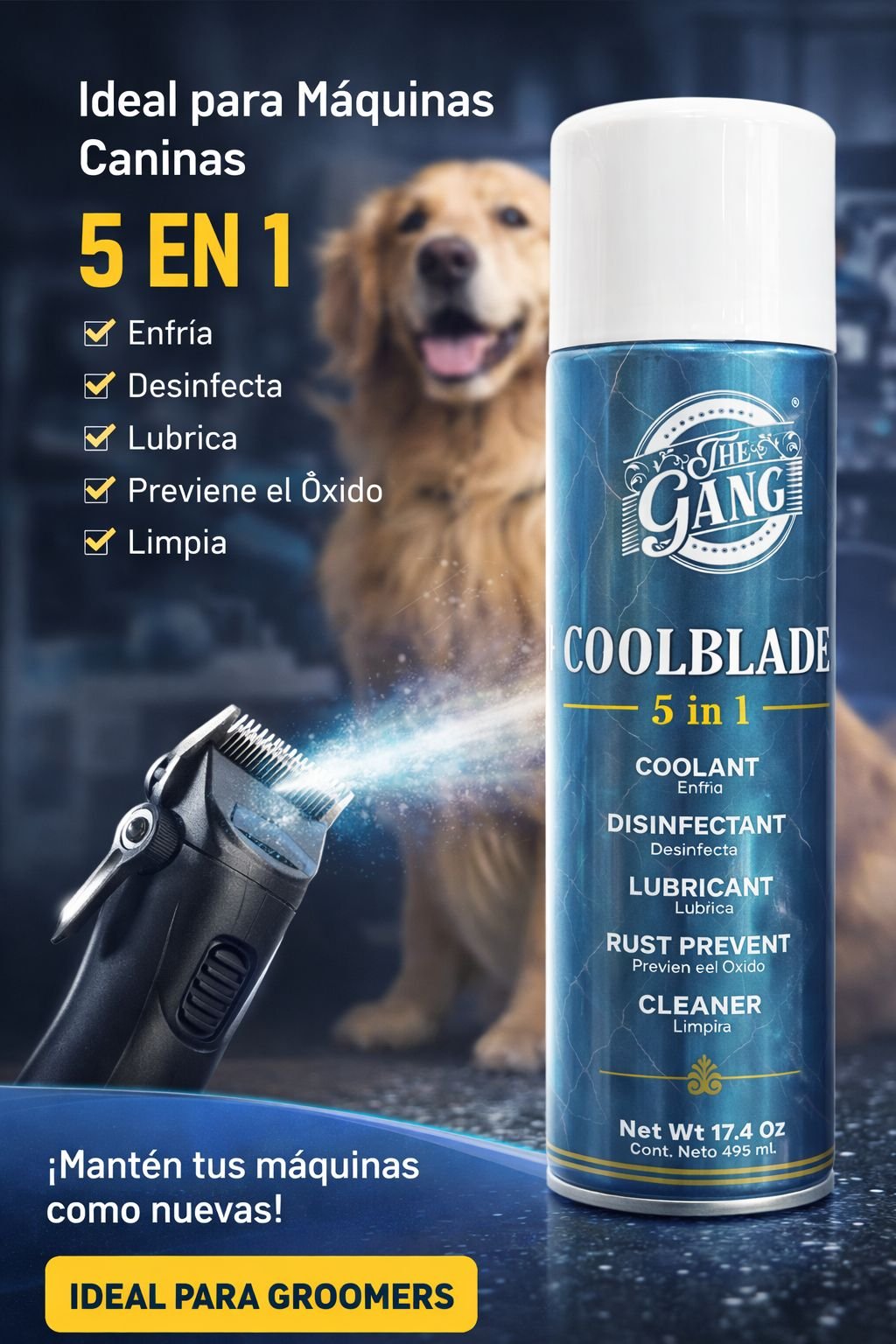 WhatsApp Image 2026-01-17 at 3.39.47 PM