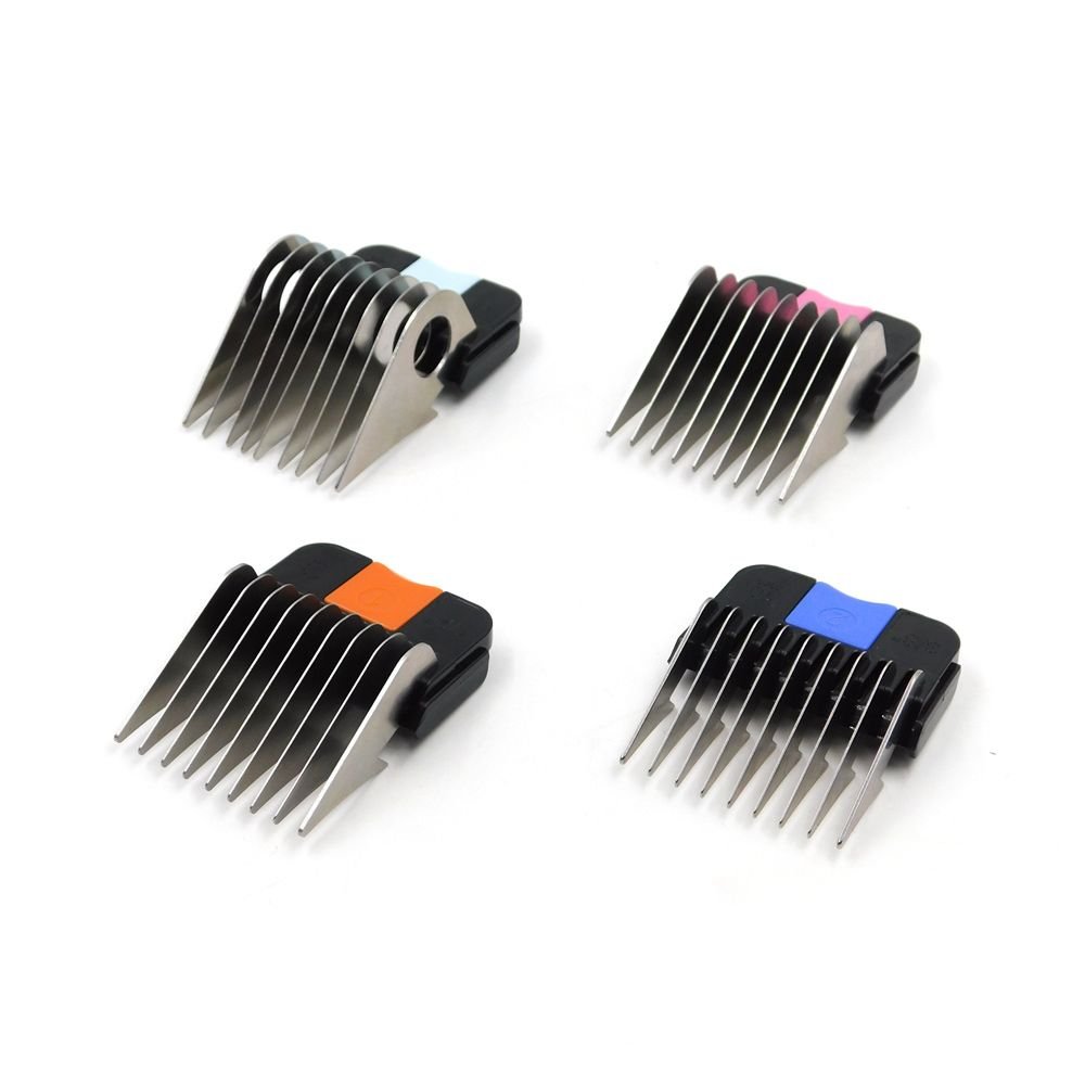 WhatsApp Image 2026-02-09 at 5.03.38 PM (2)