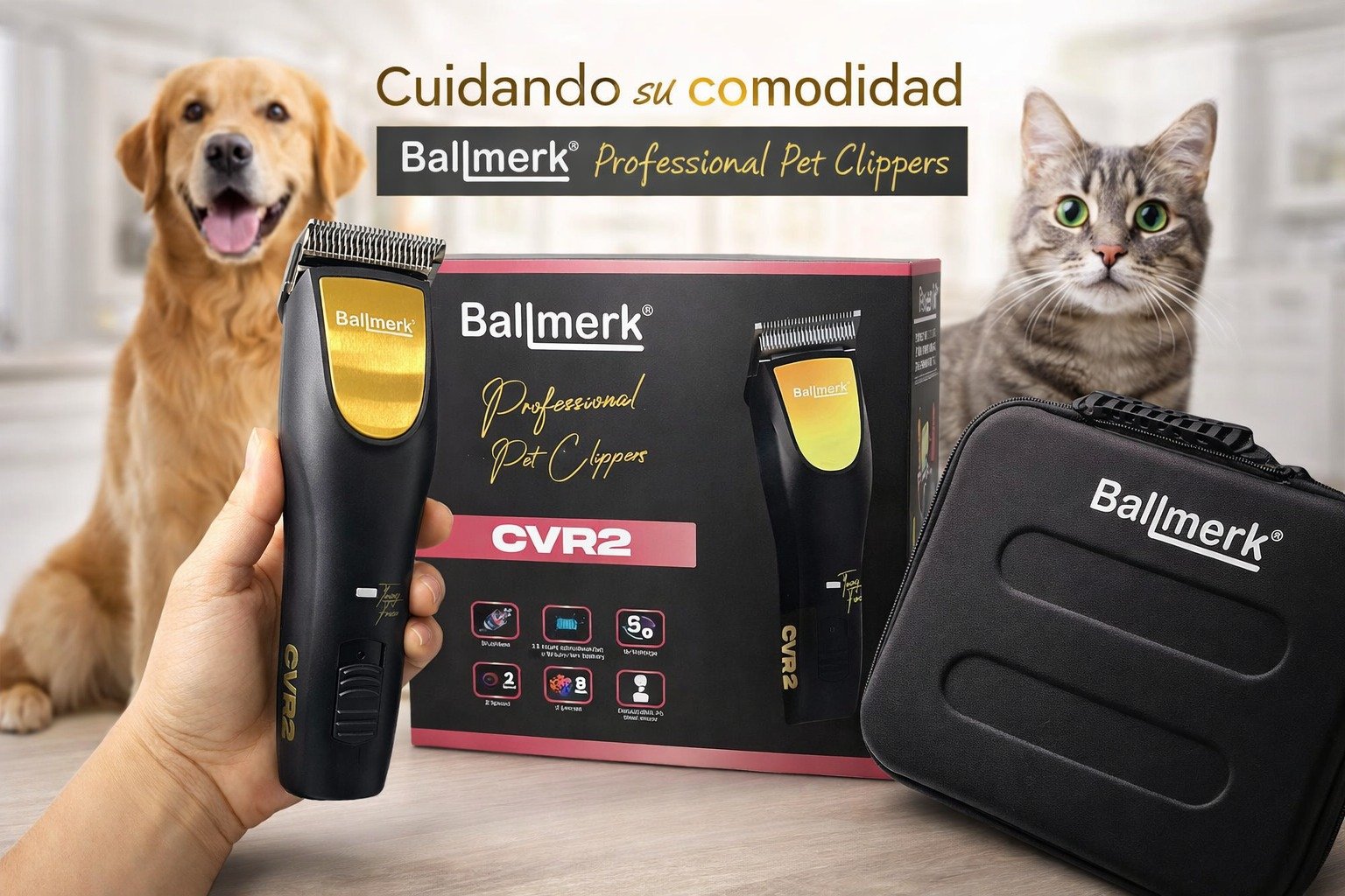 WhatsApp Image 2026-02-09 at 5.04.34 PM