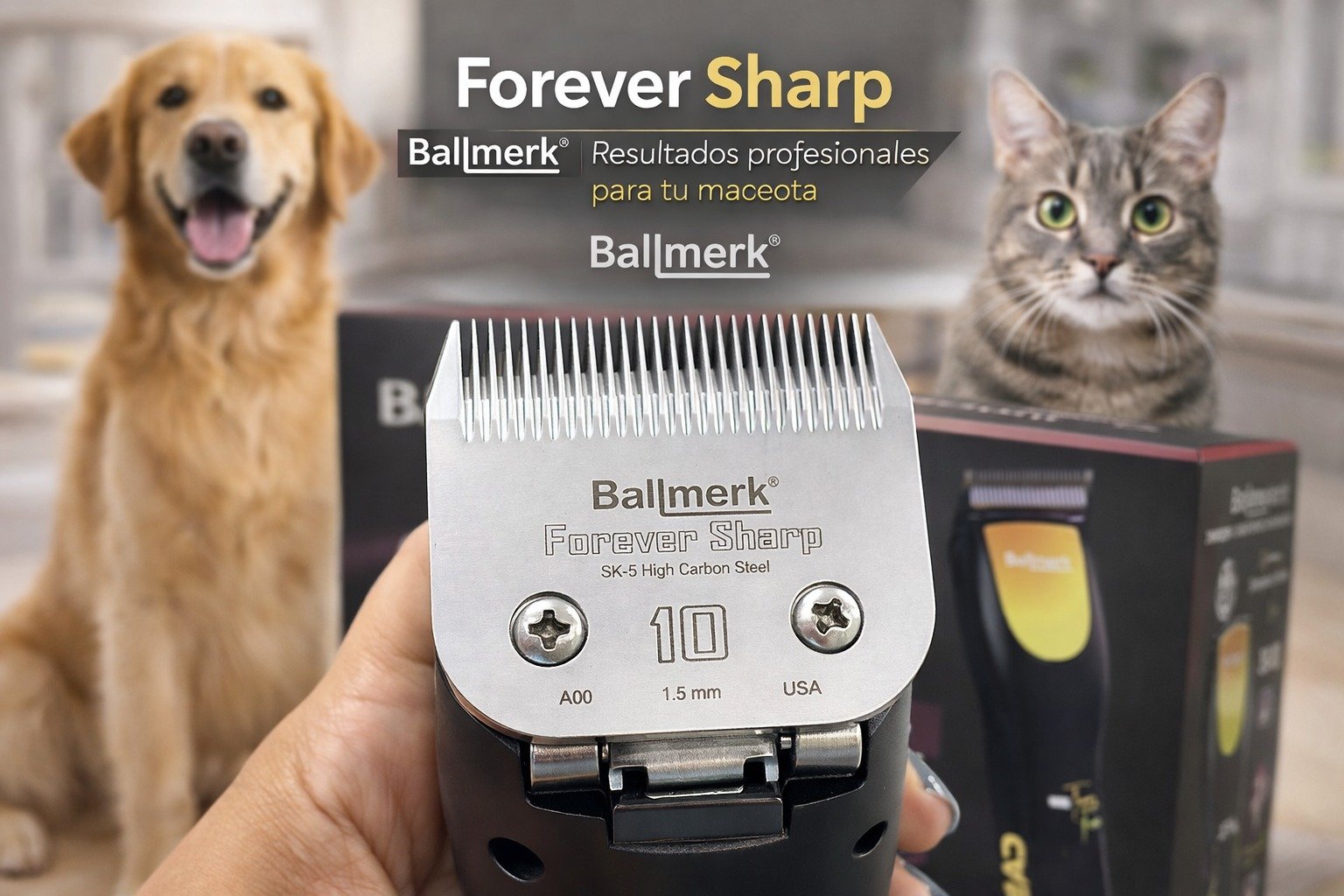 WhatsApp Image 2026-02-09 at 5.08.29 PM