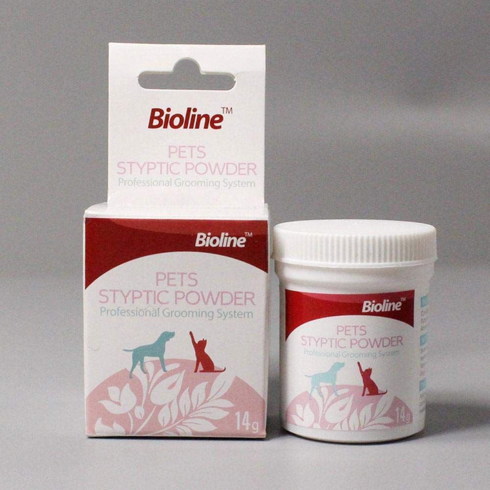 WhatsApp Image 2026-02-09 at 5.13.50 PM (1)