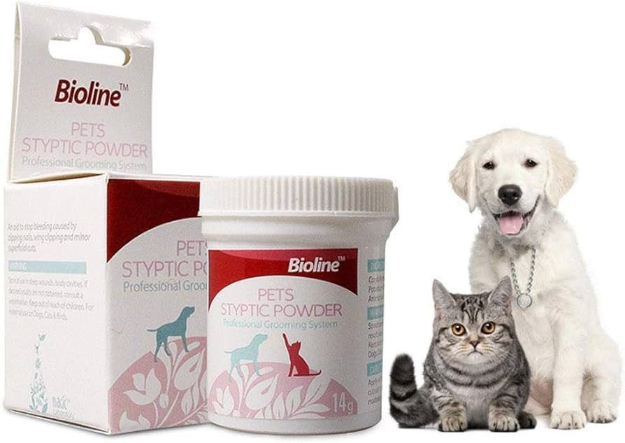 WhatsApp Image 2026-02-09 at 5.13.50 PM