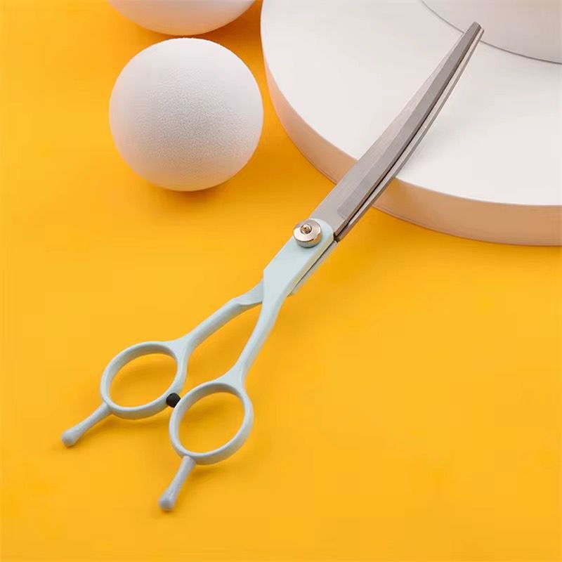 WhatsApp Image 2026-02-10 at 4.51.24 PM (1)