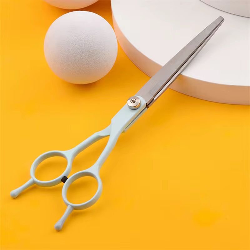 WhatsApp Image 2026-02-10 at 4.51.24 PM (2)