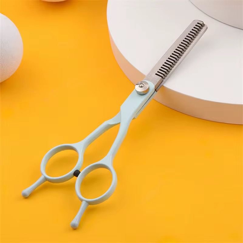 WhatsApp Image 2026-02-10 at 4.51.24 PM