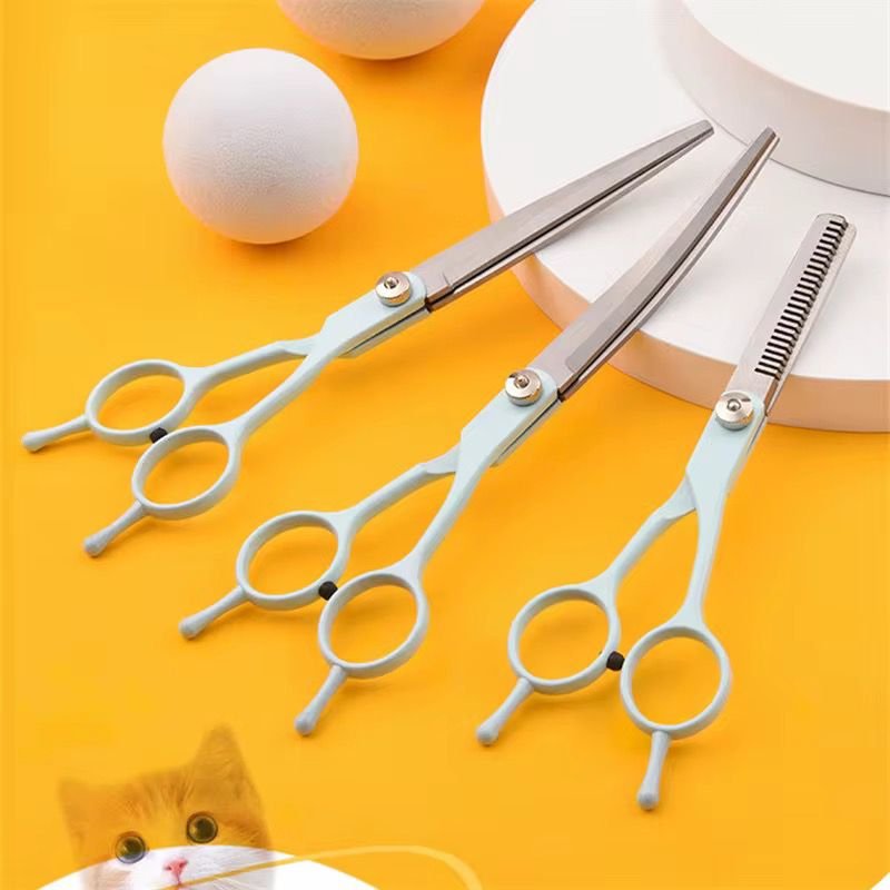 WhatsApp Image 2026-02-10 at 4.51.25 PM (1)