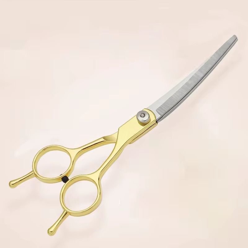 WhatsApp Image 2026-02-10 at 4.53.27 PM (1)