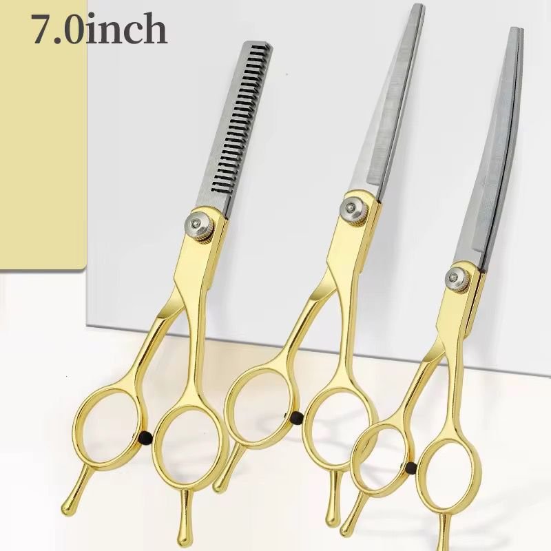 WhatsApp Image 2026-02-10 at 4.53.27 PM