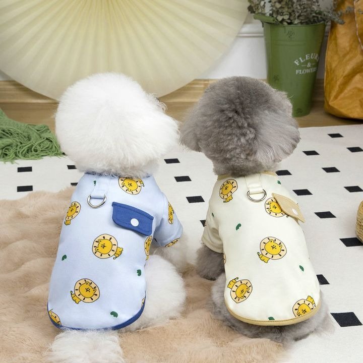 WhatsApp Image 2026-02-11 at 5.27.10 PM