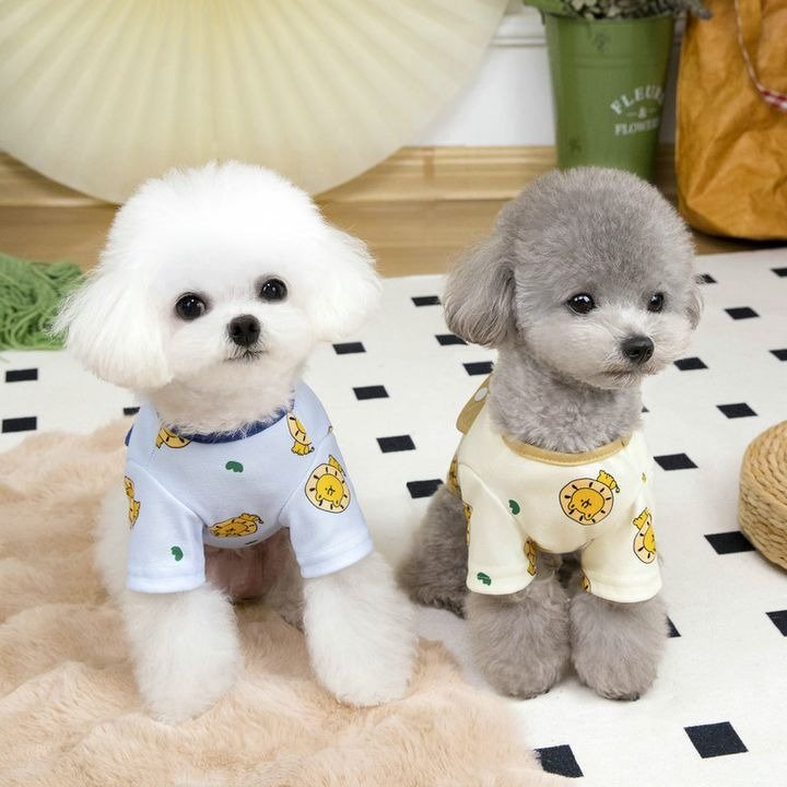 WhatsApp Image 2026-02-11 at 5.27.11 PM