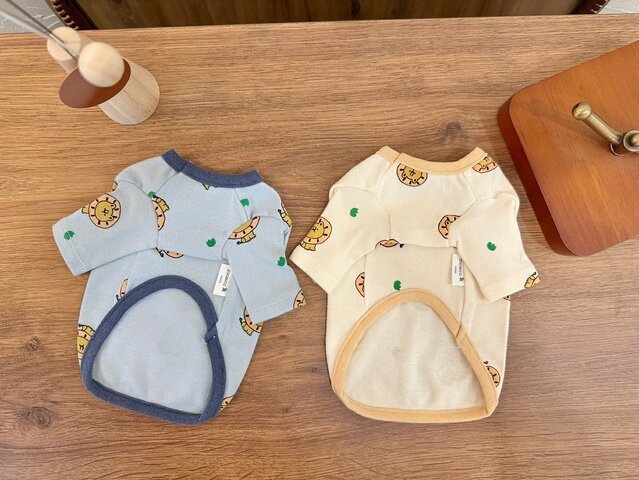 WhatsApp Image 2026-02-11 at 5.27.51 PM