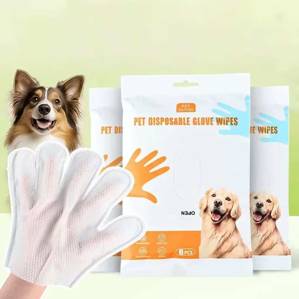 WhatsApp Image 2026-02-24 at 11.29.48 AM (1)