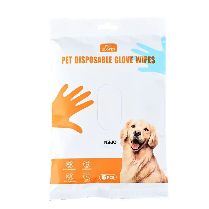 WhatsApp Image 2026-02-24 at 11.29.48 AM