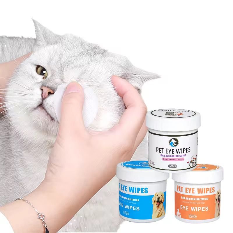 WhatsApp Image 2026-02-24 at 11.41.37 AM (1)