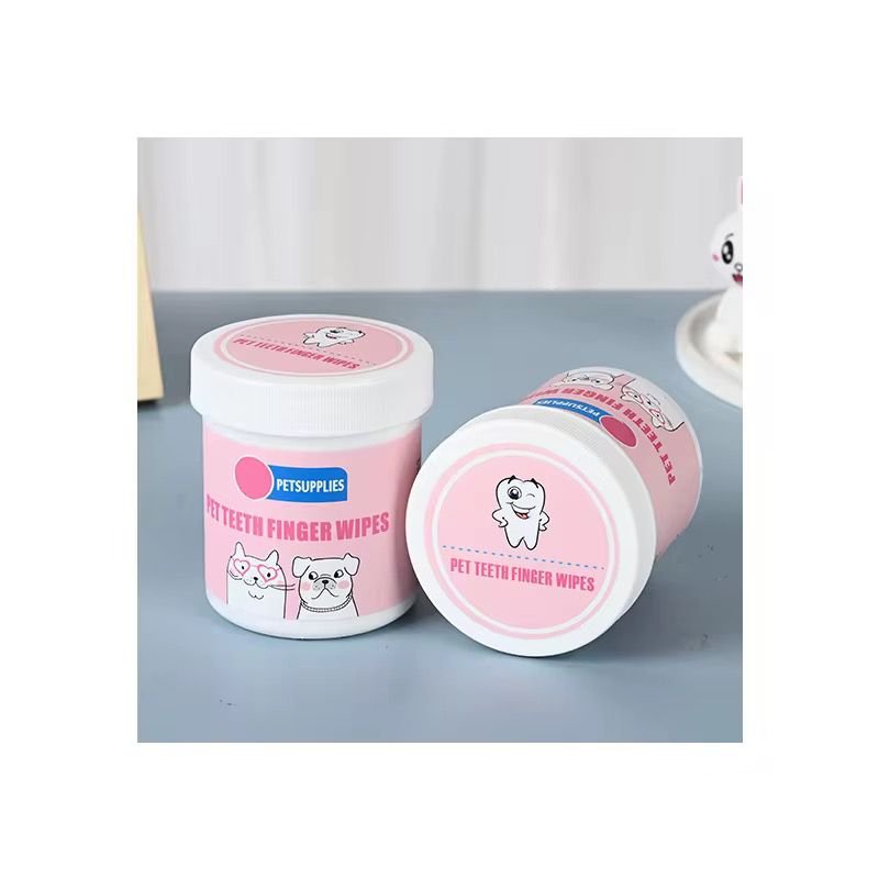 WhatsApp Image 2026-02-24 at 11.41.37 AM (2)