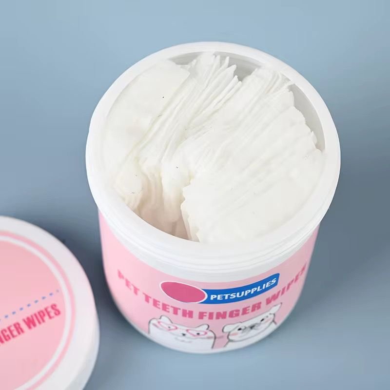 WhatsApp Image 2026-02-24 at 11.41.37 AM (3)