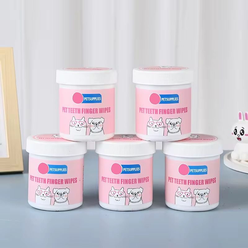 WhatsApp Image 2026-02-24 at 11.41.37 AM (4)