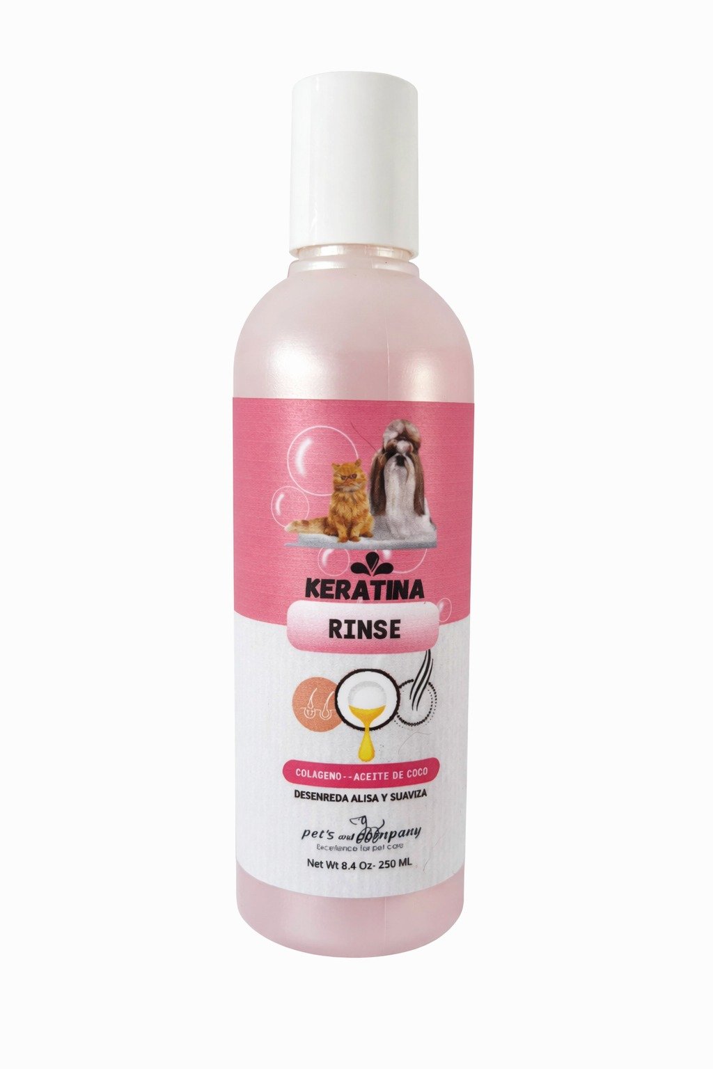 WhatsApp Image 2026-02-24 at 12.50.05 PM