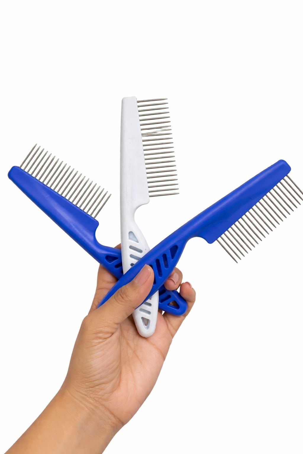 WhatsApp Image 2026-03-03 at 3.17.37 PM