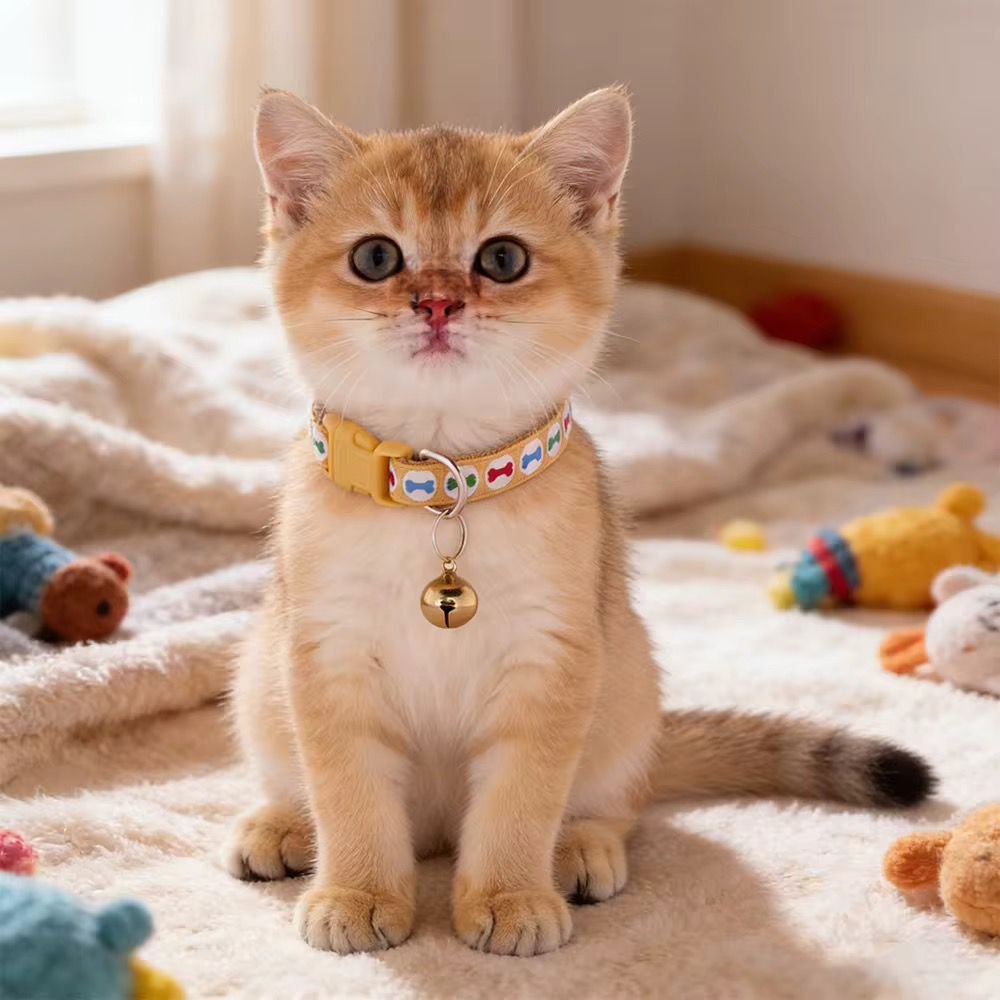 WhatsApp Image 2026-03-03 at 3.57.05 PM (1)