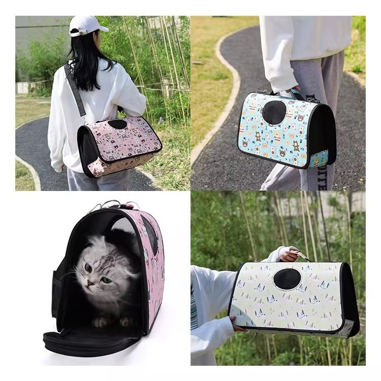 WhatsApp Image 2026-03-04 at 10.58.30 AM (3)