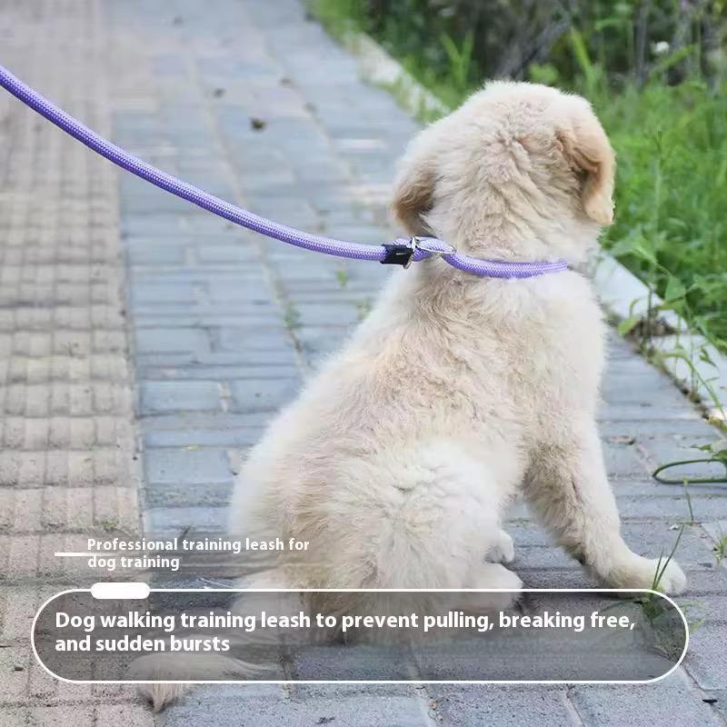 WhatsApp Image 2026-03-04 at 3.23.20 PM (2)