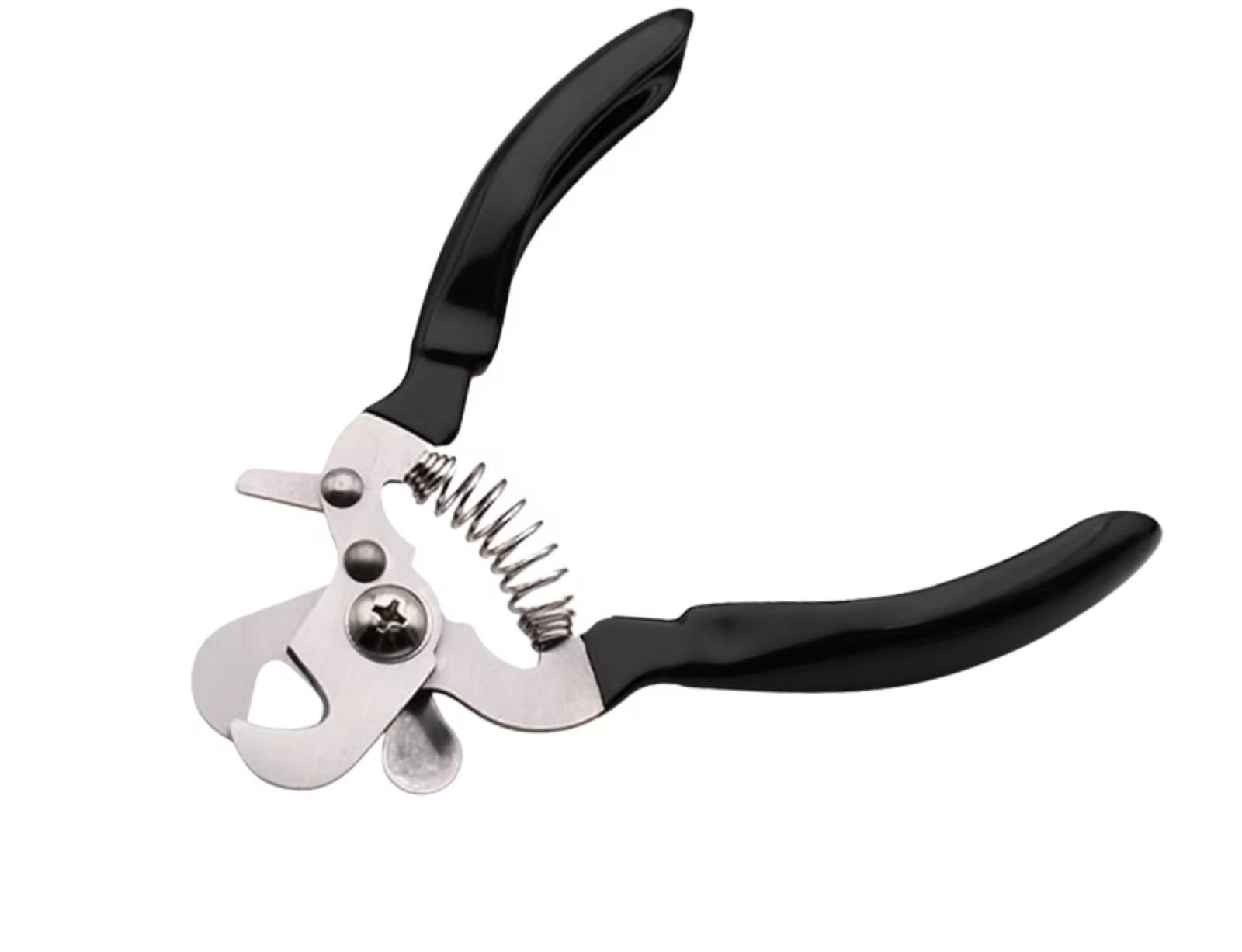 WhatsApp Image 2026-03-04 at 3.27.52 PM (1)