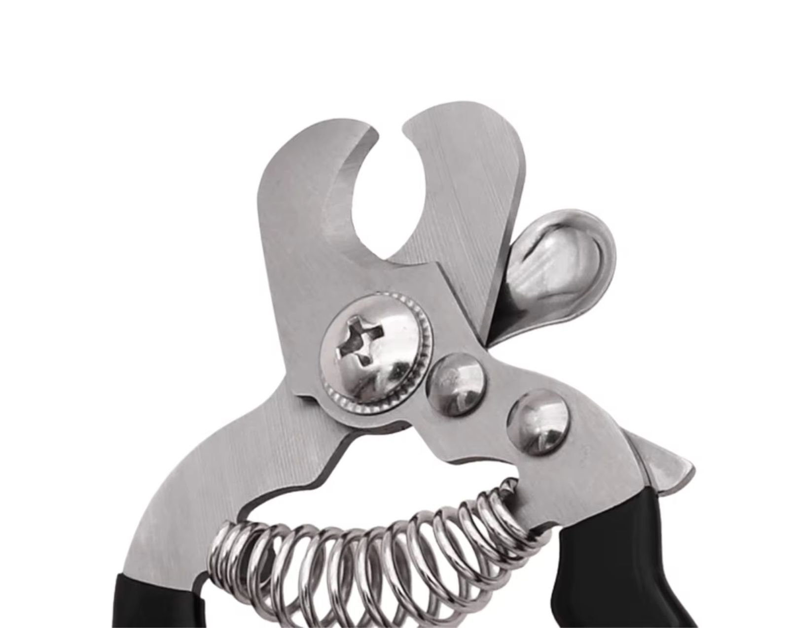 WhatsApp Image 2026-03-04 at 3.27.52 PM (2)