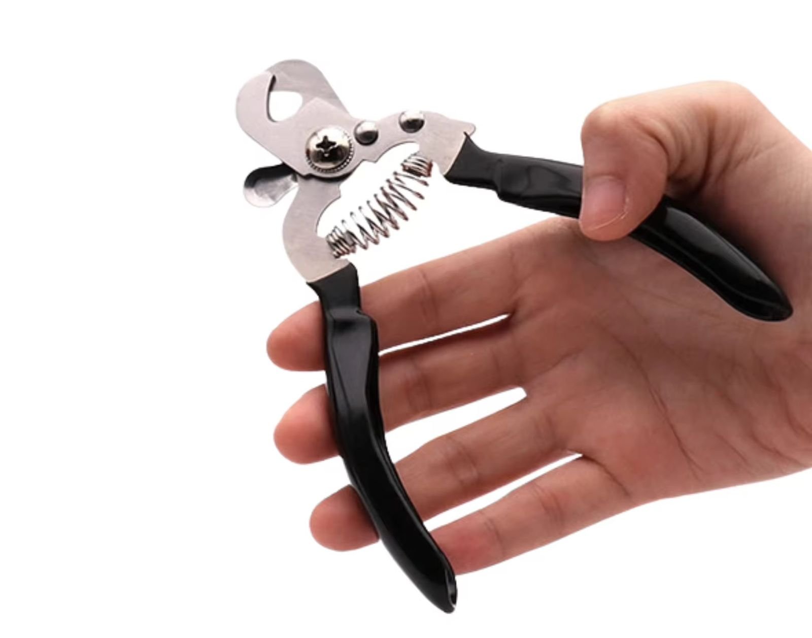 WhatsApp Image 2026-03-04 at 3.27.52 PM (3)