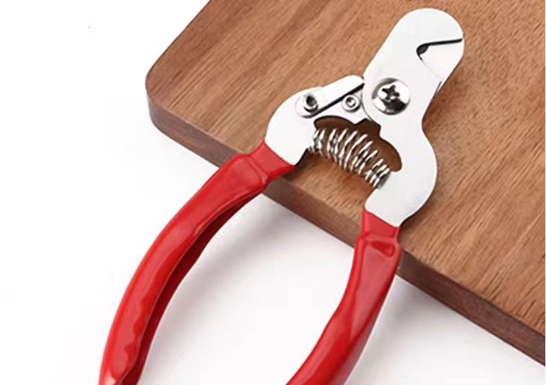 WhatsApp Image 2026-03-04 at 3.27.52 PM