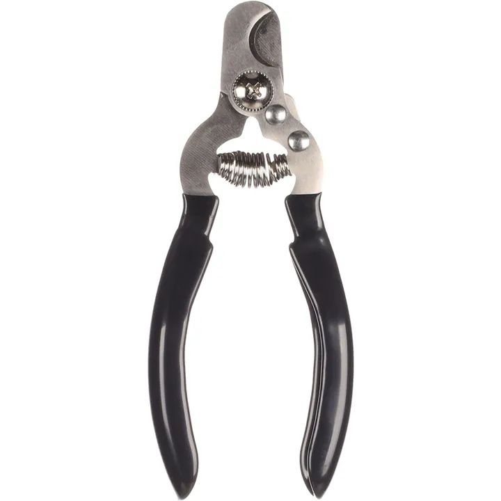 WhatsApp Image 2026-03-04 at 3.27.53 PM