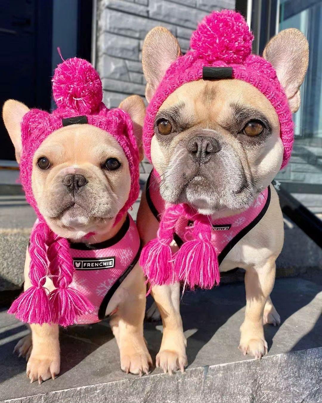 WhatsApp Image 2026-03-30 at 3.07.31 PM