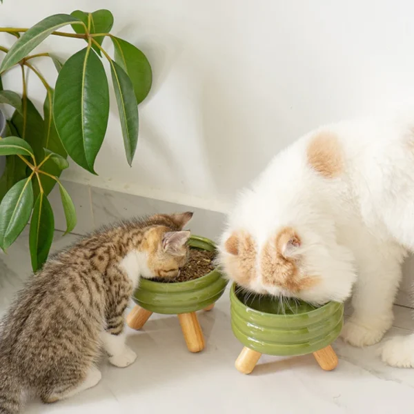 Comedero de Cerámica Elevado para Perros y Gatos